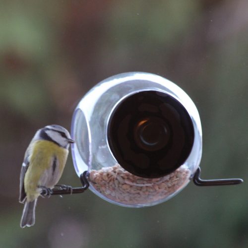 born-in-sweden-birdfeeder-2_dejavu