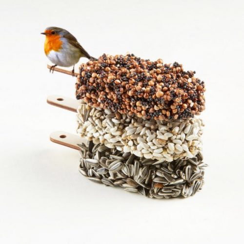 desserts-for-birds_dejavu