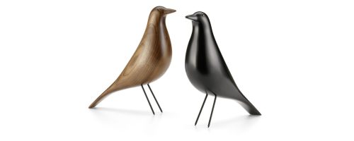 house bird