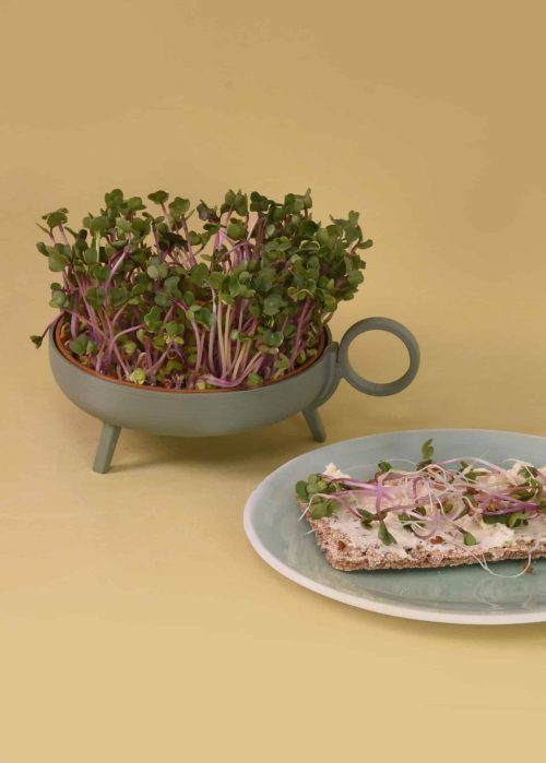 kiembakje Sprouting-planter-05-1463×2048